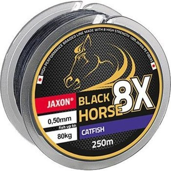 Jaxon geflochtene Schnur Black Horse 8X Catfish 0.55mm-250m